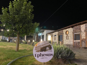 Erdem Ciftligi/ Ephesus Arena